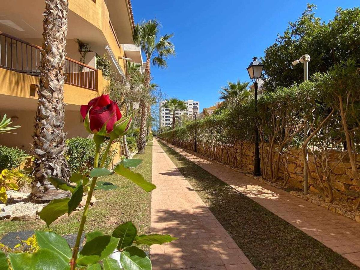 Acogedor Apartamento Al Lado De La Playa อาลิกันเต ภายนอก รูปภาพ